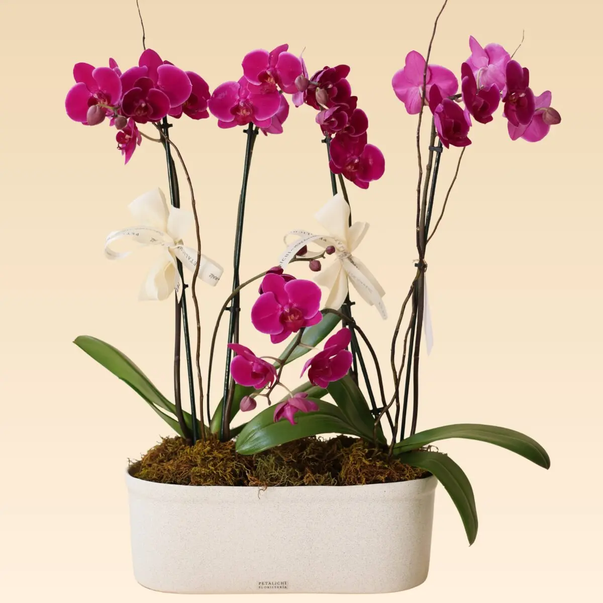 Base Trinitate con 4 varas de Orquídeas Rosas Anna