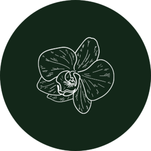 Orquídeas
