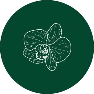 Orquídeas