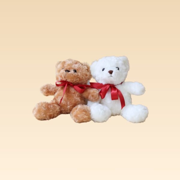 Oso de Peluche Chico