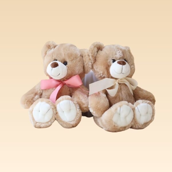 Oso de Peluche Mediano
