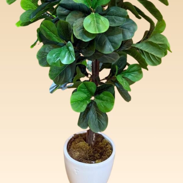 Árbol Pandurata Grande Artificial - Image 2