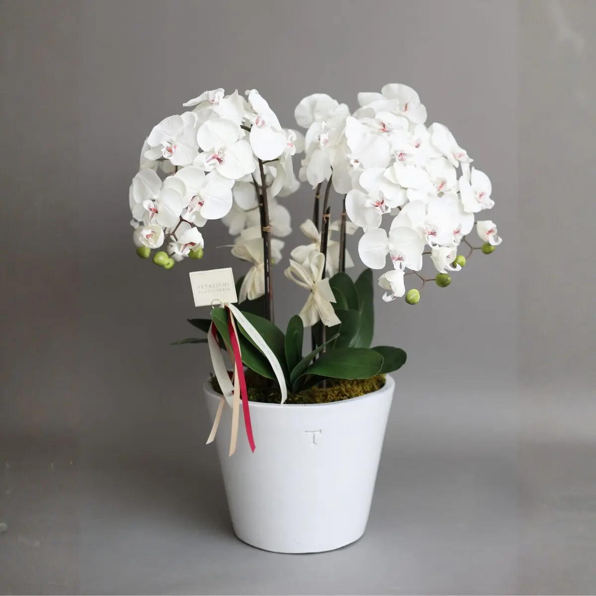 Arreglo Artificial Orquídeas: Alejandra