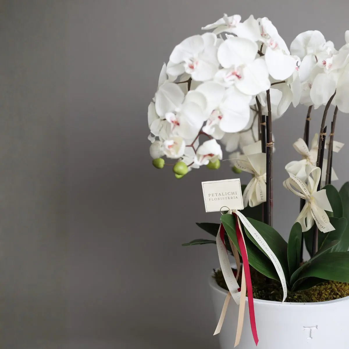 Arreglo Artificial Orquídeas: Alejandra - Image 2